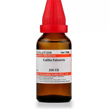 https://cdn.shopify.com/s/files/1/1857/6931/products/3rwvZqa39A.jpg?v=1613912051